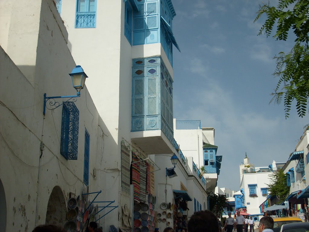 Tunis - Sidi Bou Said by Michel Viard