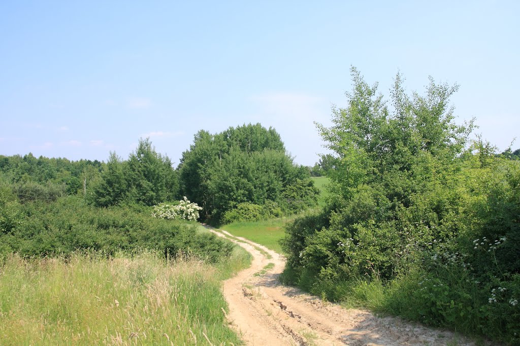 Gmina Bodzechów, Poland by Lech J