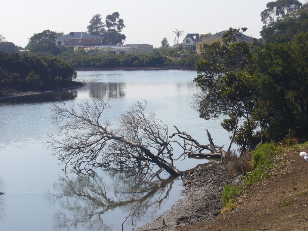 River at Tooradin, Victoria, Australia by diannemcd