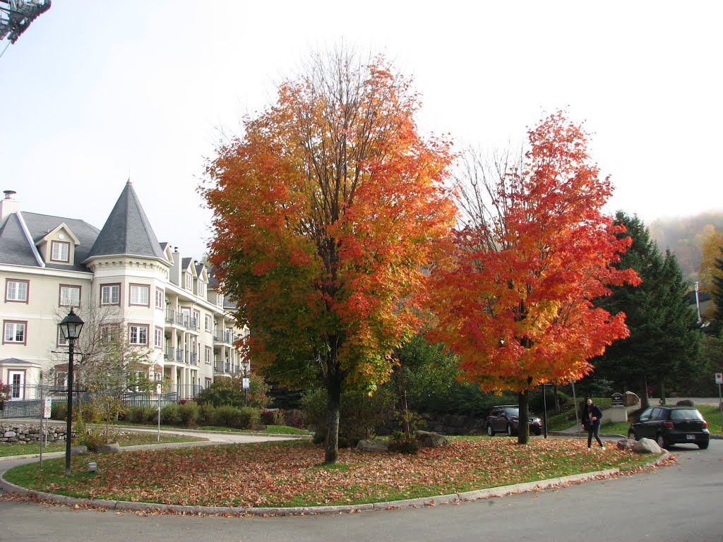 Mont-Tremblant, QC, Canada by 兵贵胜