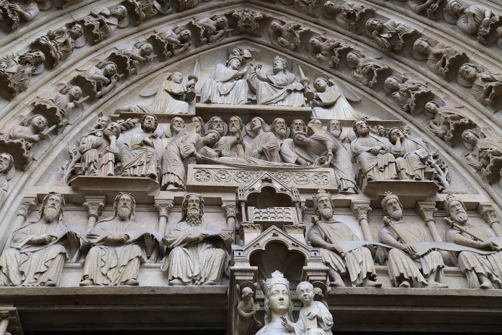 Catedral de Notre Dame, Isla de la Cité, París, Francia. by Octavio Aldea