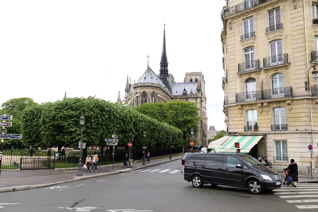 Isla de la Cité, París, Francia. by Octavio Aldea