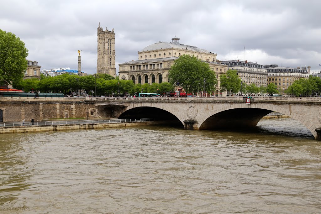 Río Sena, París, Francia. by Octavio Aldea