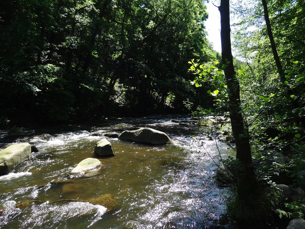 Die Bode bei Thale im Harz by sequoiaohz