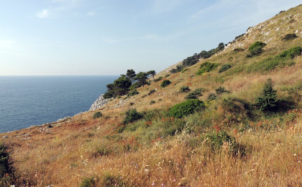 The coastline is quite steep by Gerard Schut