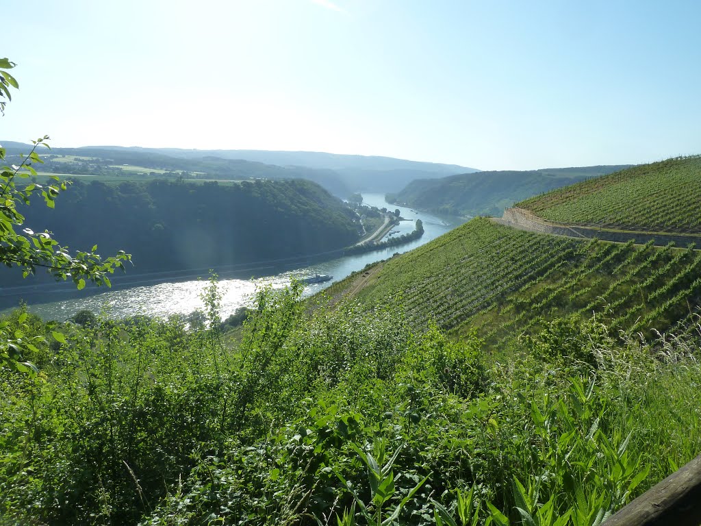 Rheinsteig von Kestert nach St Goarshausen, 150604 by helicop