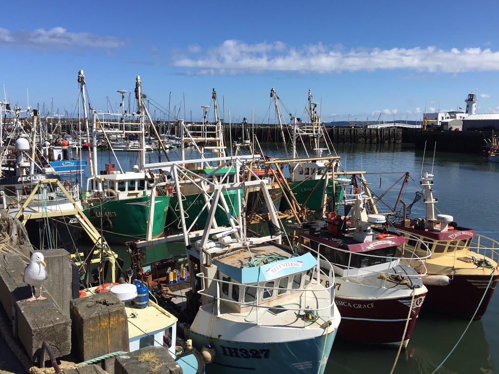 Fish Dock, Scarborough. by Old Fossil