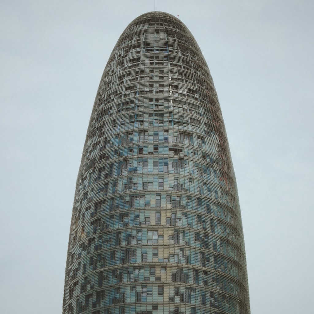 Torre Agbar by Anton Karlik