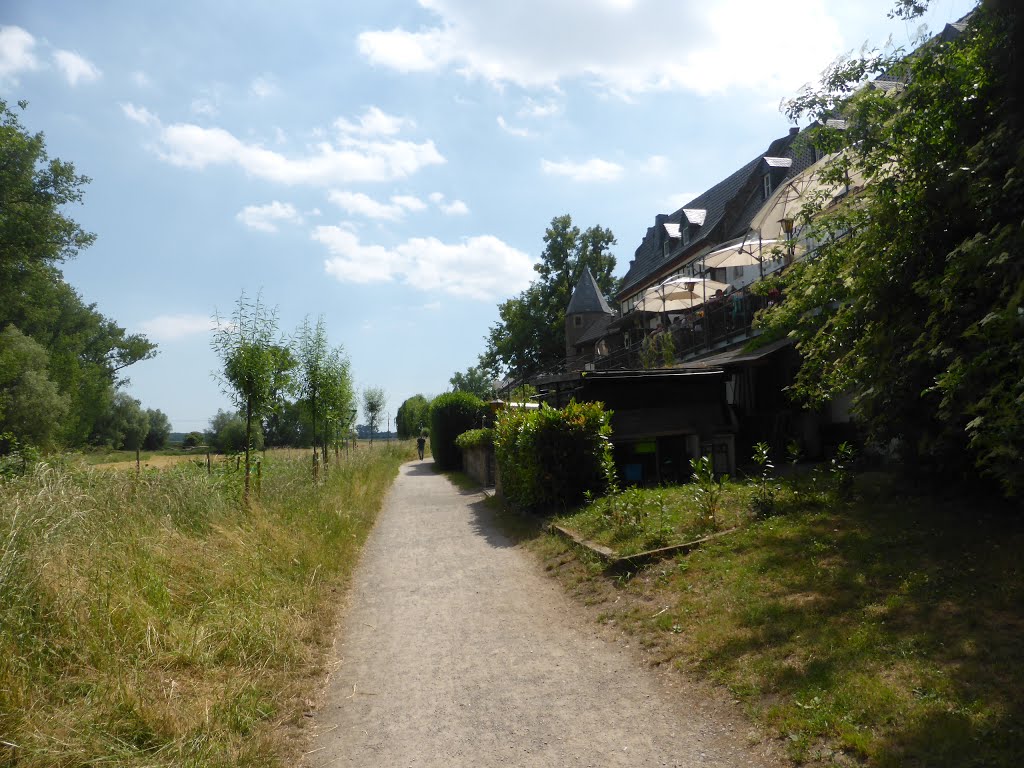 Dormagen, Germany by Nikos Sarantakos