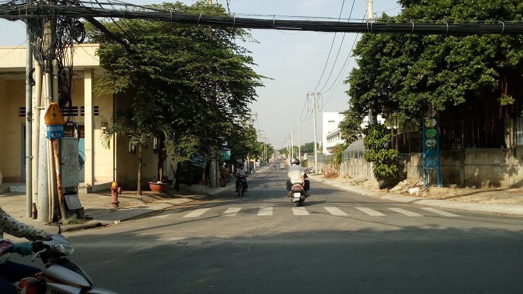 Ngã ba Tô Ngọc Vân - Tam Bình by Dao Trong Thuan