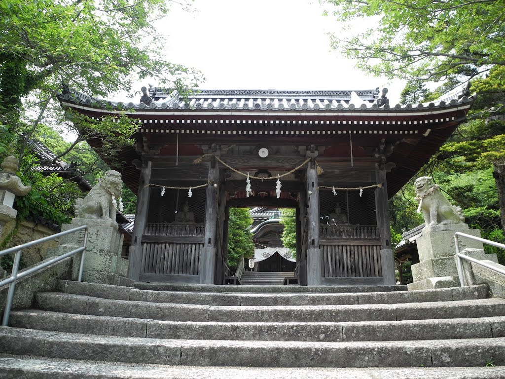 大避神社１１（Ｆ） by Tutomu Furuichi