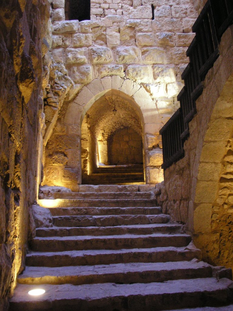 Ajloun Castle by ahsmadi