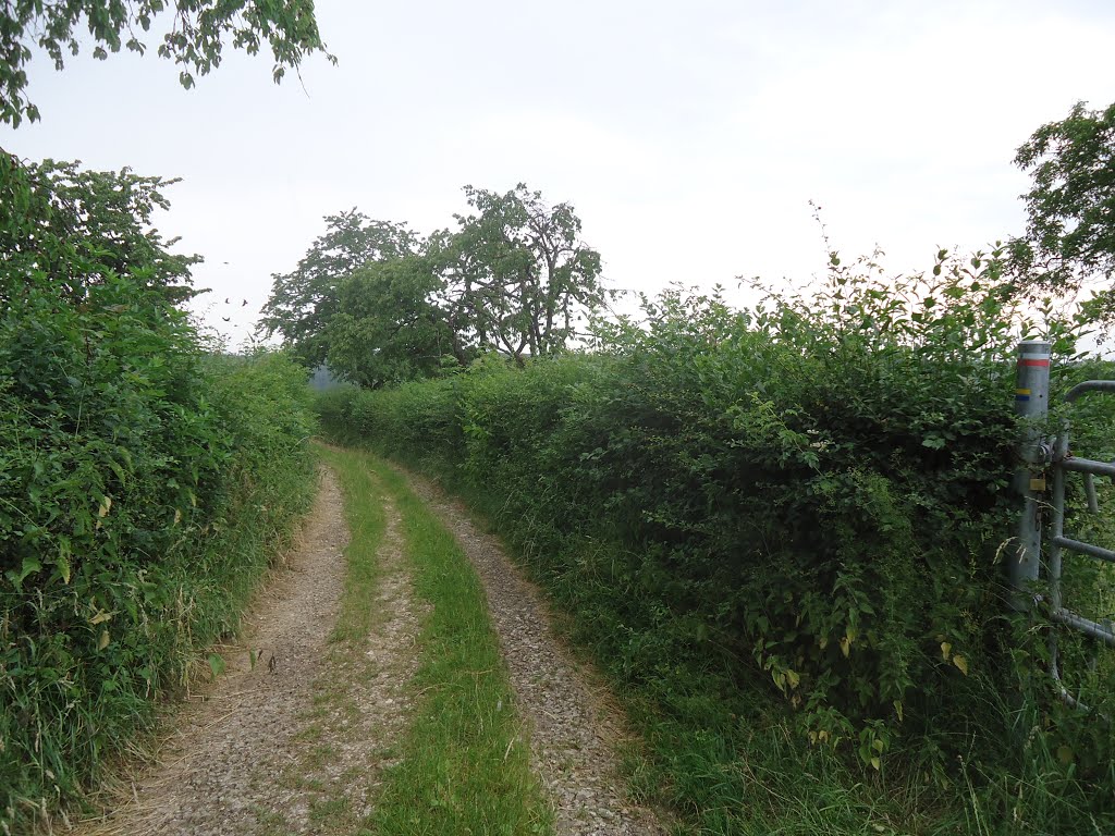 Chemin des Voichênes sur Vandoncourt by Claudius B.