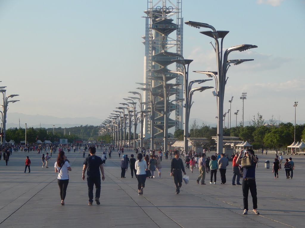 Olympic Park Beijing by Attila Majevszky