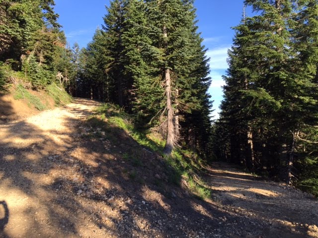 Switchback descending the lookout road (FS 6048) by Curious Gorge Guideb…