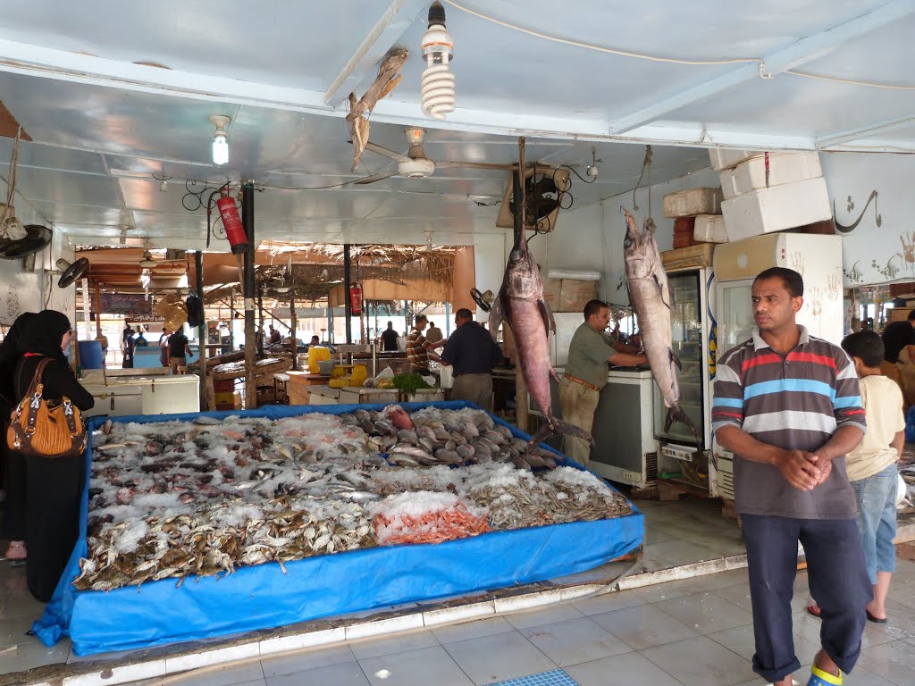 Hurghada, Qesm Hurghada, Red Sea Governorate, Egypt by Vladislav Mandys