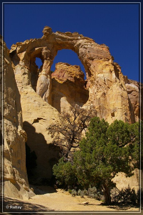 Grosvenor Arch, Grand Staircase Escalante N.M. by rattays.de