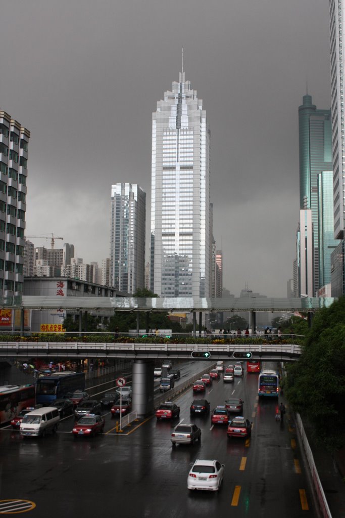 Shenzhen by Adrian Widmer