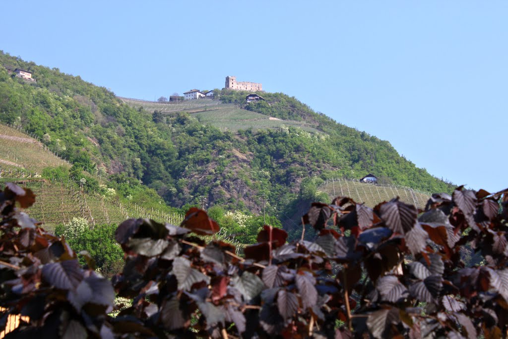 Blick zur Burgruine Rafenstein by Uwe Häntsch