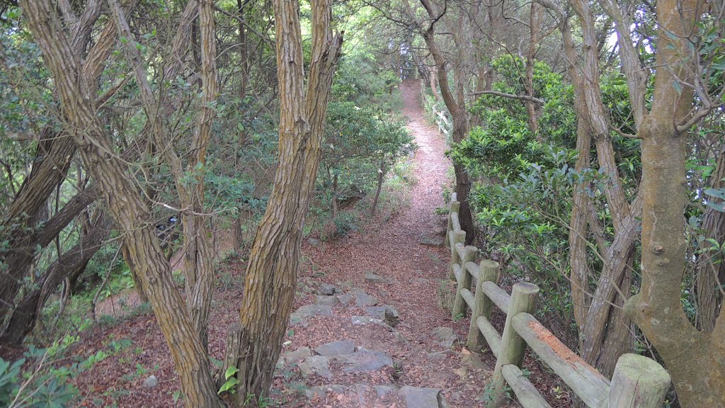 鶴御崎、鶴御崎灯台、九州最東端、大分県 by mackenmov