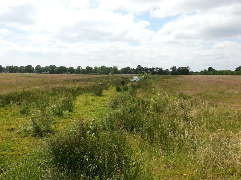 Vennenwandeling by Kurt Geudens