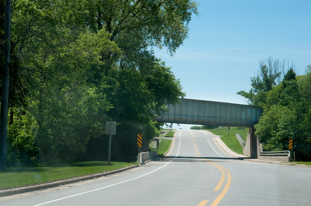 Railroad bridge crossing by Rich R