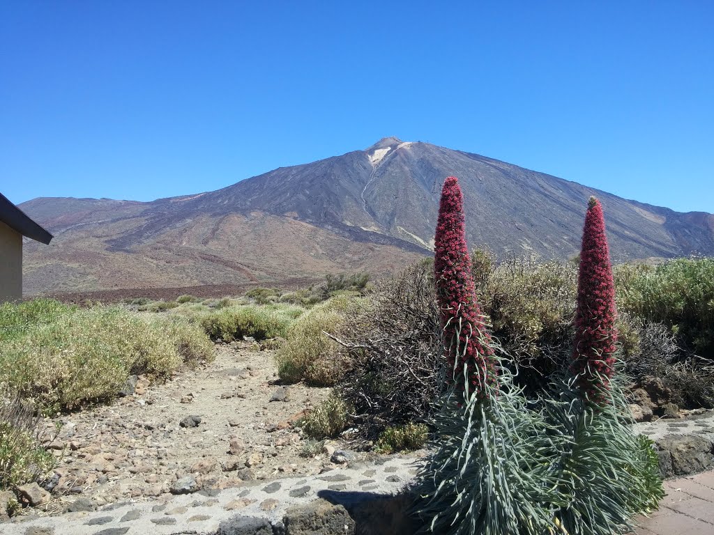 Teide by Yann Pics