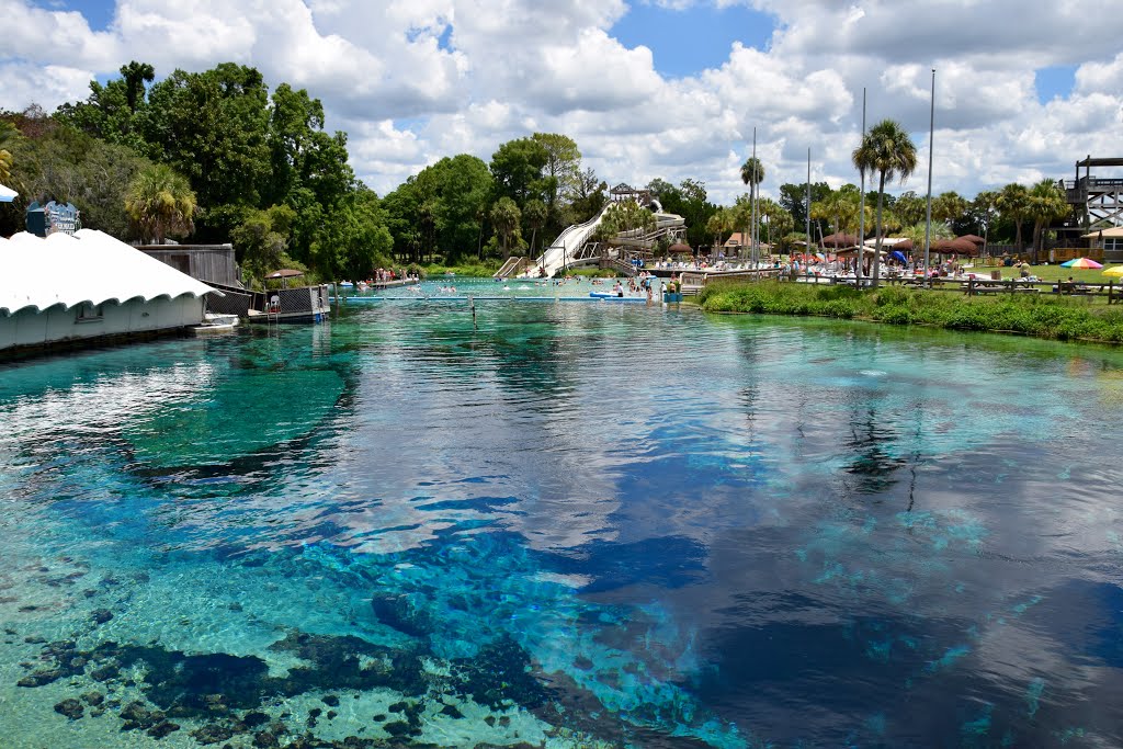 WEEKI WACHIE SPRINGS, FL by Trude Rini Forde