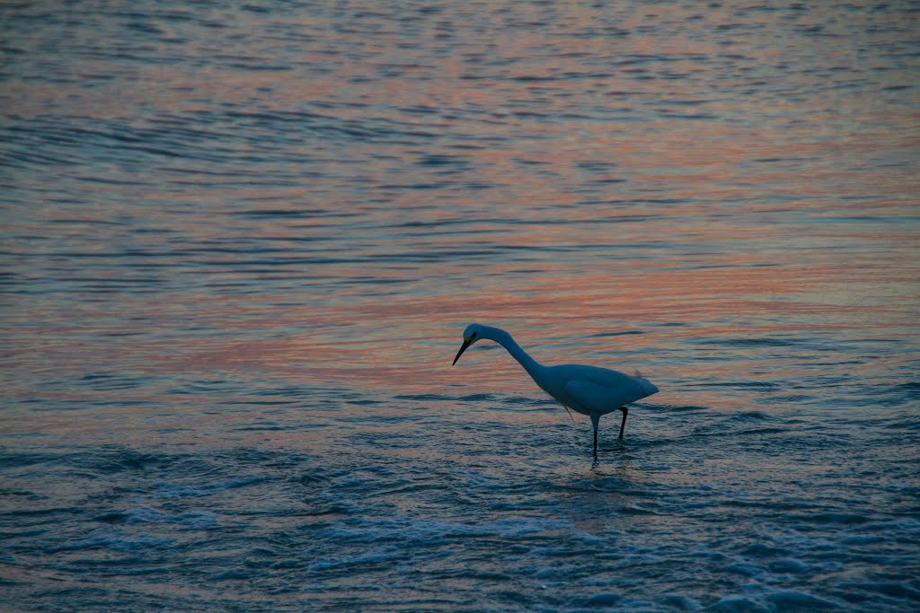 Fort Myers Beach, FL 33931, USA by uwe-aus-hamburg