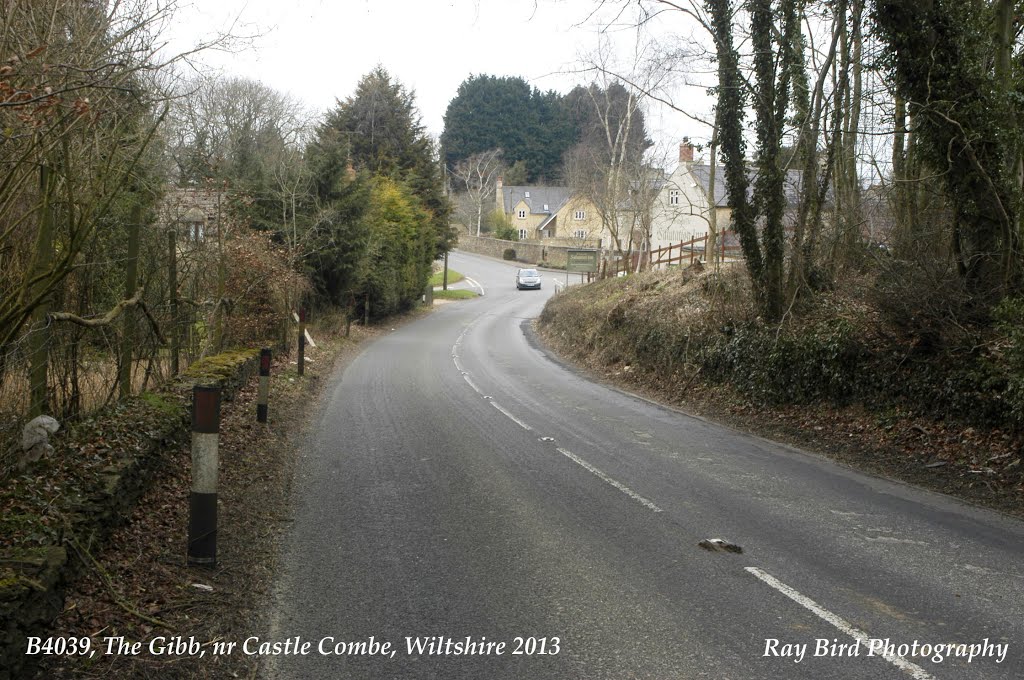 B4039, The Gibb, nr Castle Combe, Wiltshire 2013 by Ray Bird