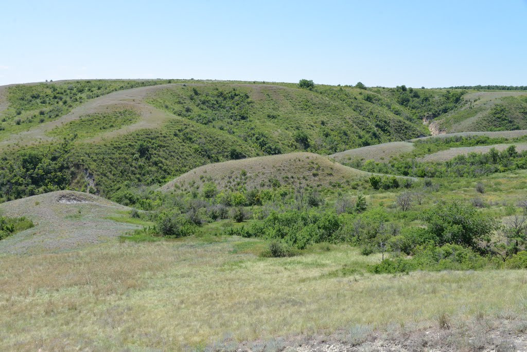 Kalachyovsky District, Volgograd Oblast, Russia by Сергей Тесленко