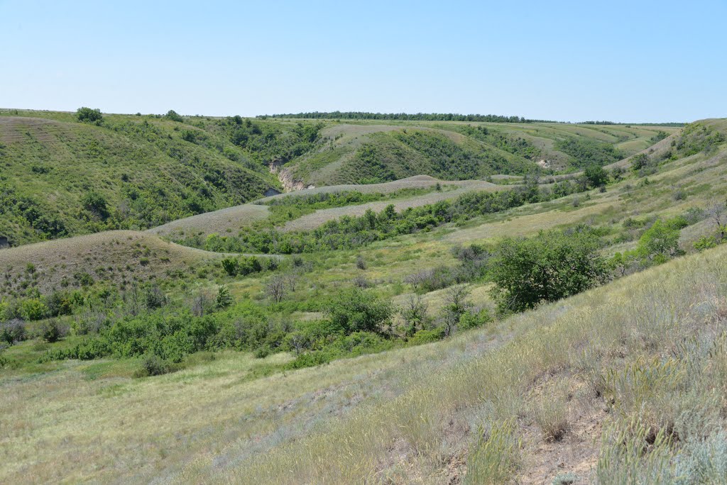 Kalachyovsky District, Volgograd Oblast, Russia by Сергей Тесленко