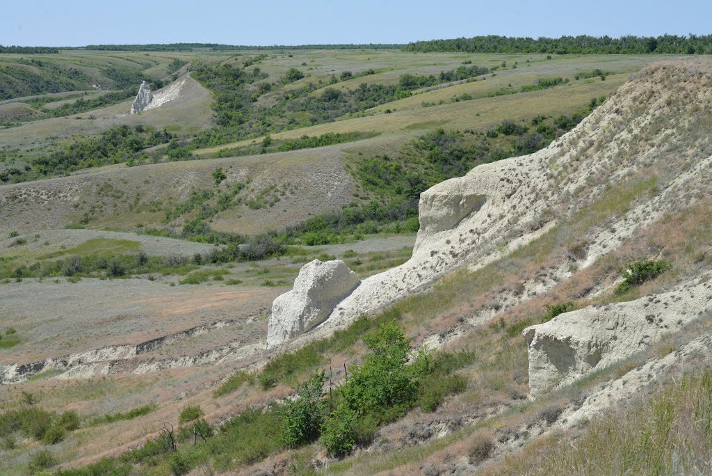 Kalachyovsky District, Volgograd Oblast, Russia by Сергей Тесленко