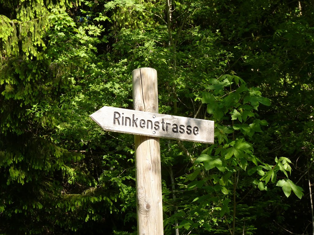 Rinkenstraße by Pieter Klein