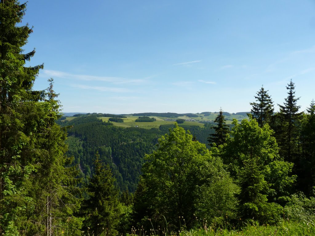 Breitnau (1018m) in de verte. by Pieter Klein