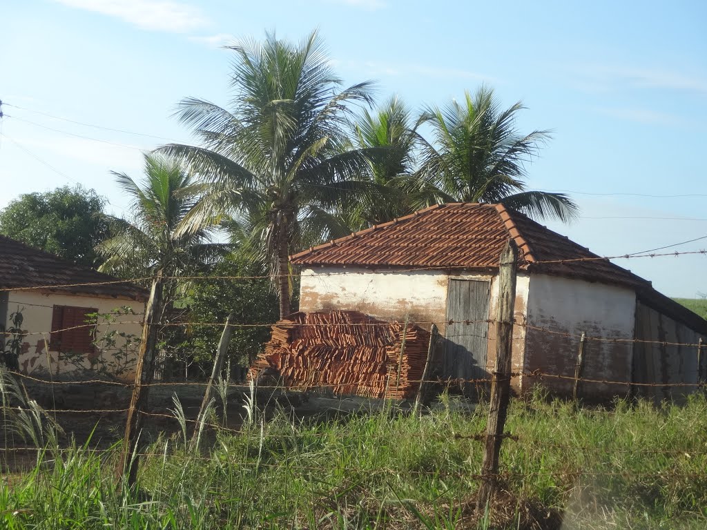 Jaci - State of São Paulo, Brazil by valdecir costa da si…