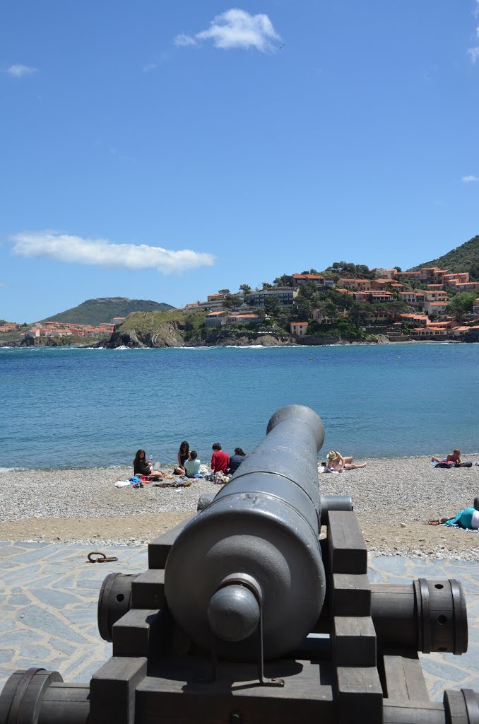 Collioure, France by Olexandr Novodran