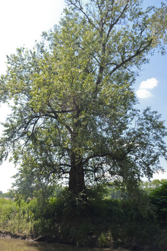 Nógrádszakál, Hungary by del piero