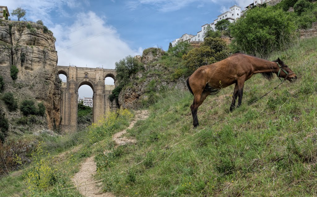 Lunchtime beneath the Puente Nuevo in Ronda - April 2015 by Michael Stuckey