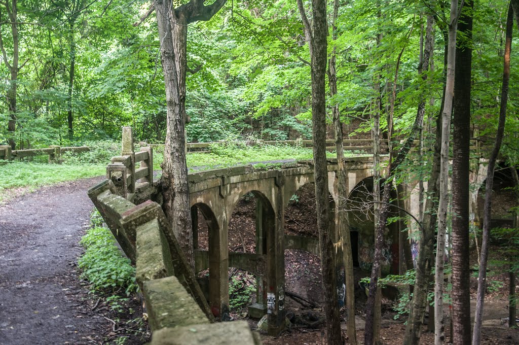 Abandoned Hillandale Bridge 2 by DWGRadio