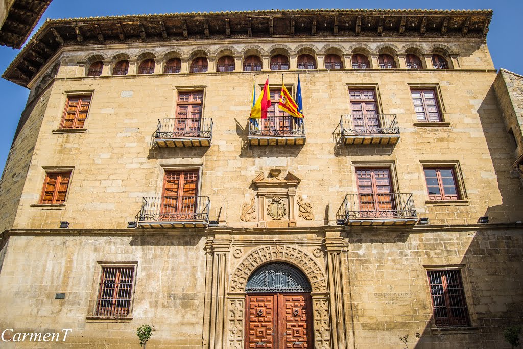 Ayuntamiento de Sos del Rey Católico (Zaragoza) by Carmen T.