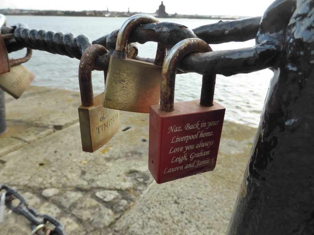 Love Locks by stegarnett