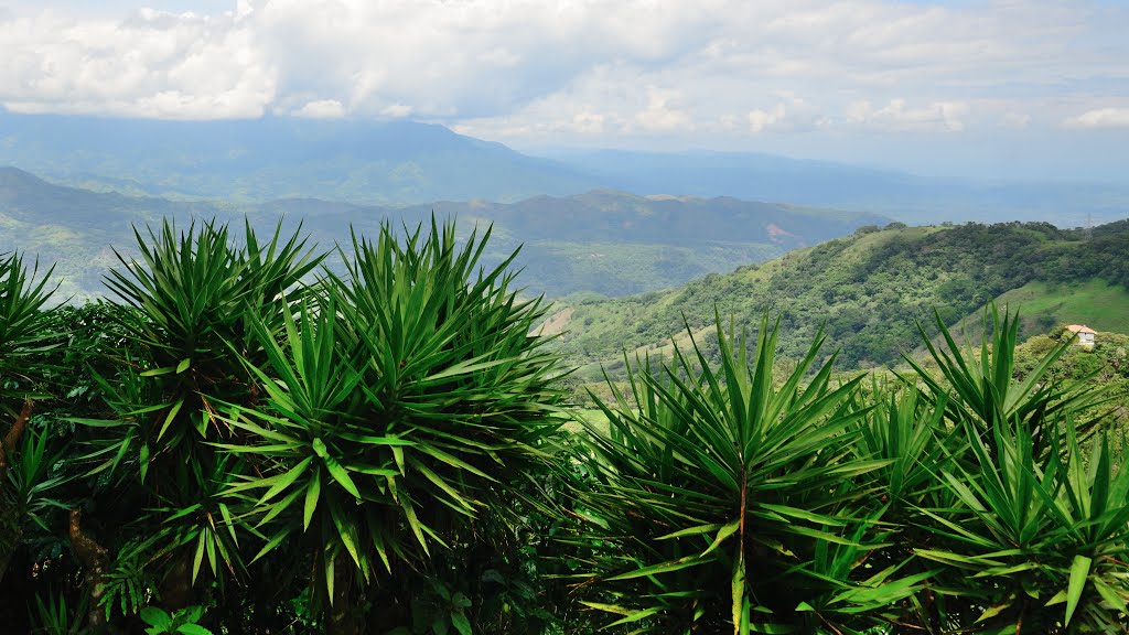 Provincia de Alajuela, Escobal, Costa Rica by latforum