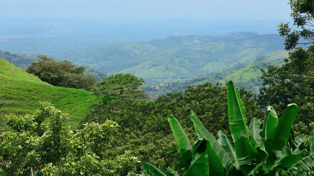 Provincia de Alajuela, Escobal, Costa Rica by latforum