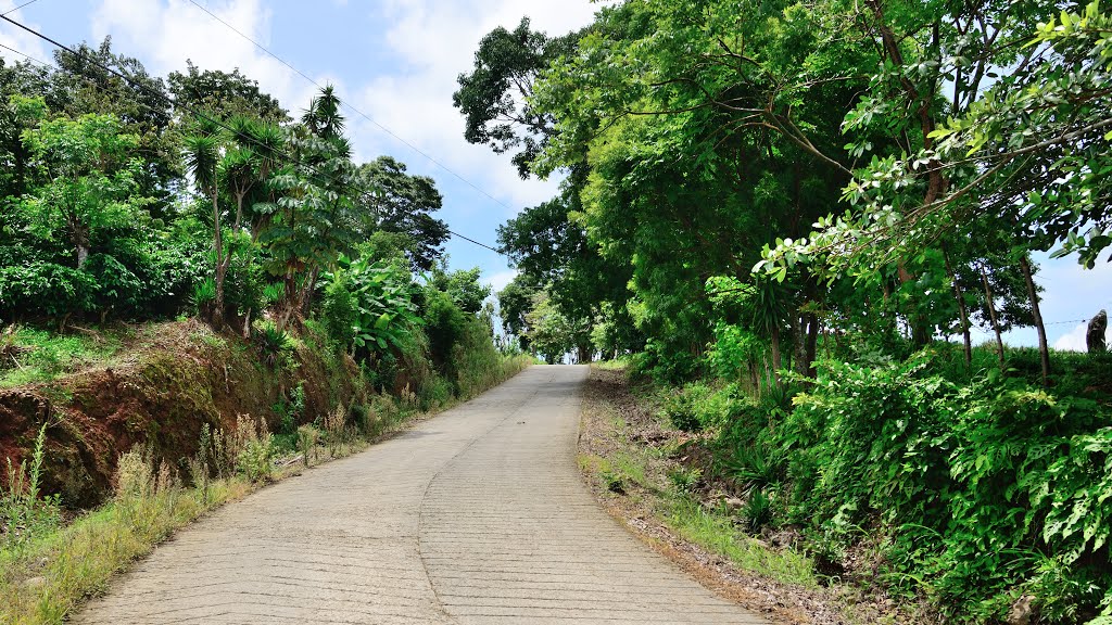 Provincia de Alajuela, Escobal, Costa Rica by latforum