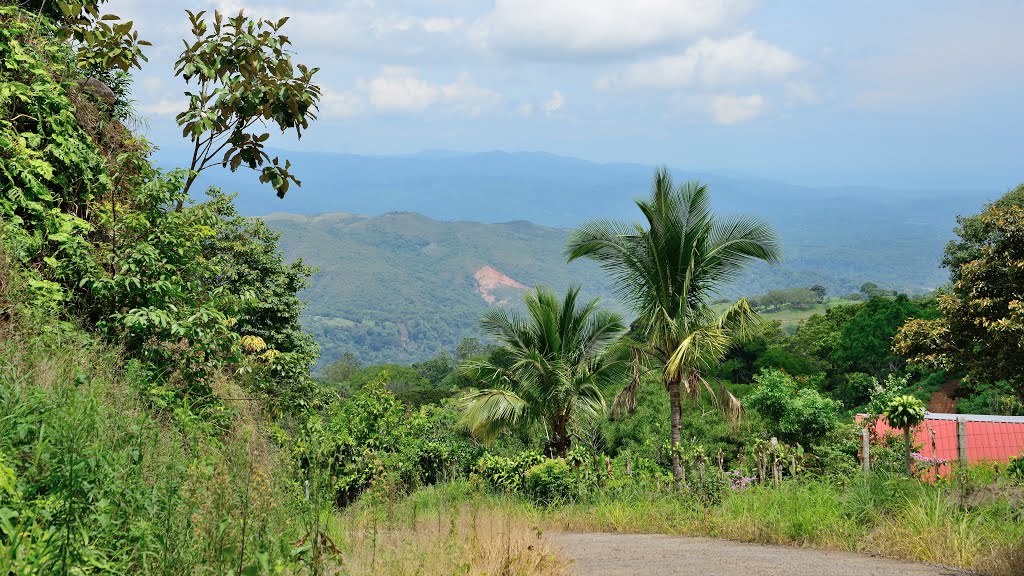 Barroeta, Provincia de Alajuela, Jesús, Costa Rica by latforum