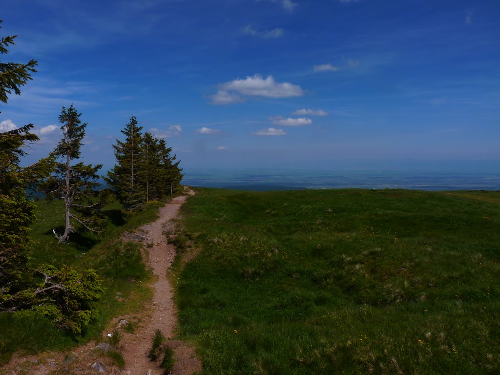 Au Petit Ballon d'Alsace by Randy Tchen