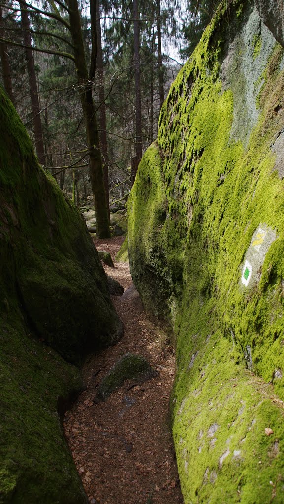 Wanderweg durch die „Hölle“ – NSG Hölle (Rettenbach) by gehsport