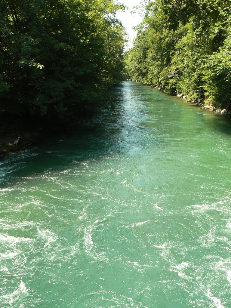 Limmat, Unterwasserkanal, Zürich, Svájc by Balázs Hornyák