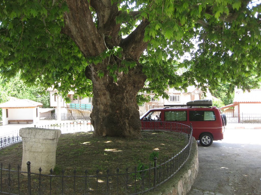 Mudurnu - Bolu / Turkey (2015) by Abu cam